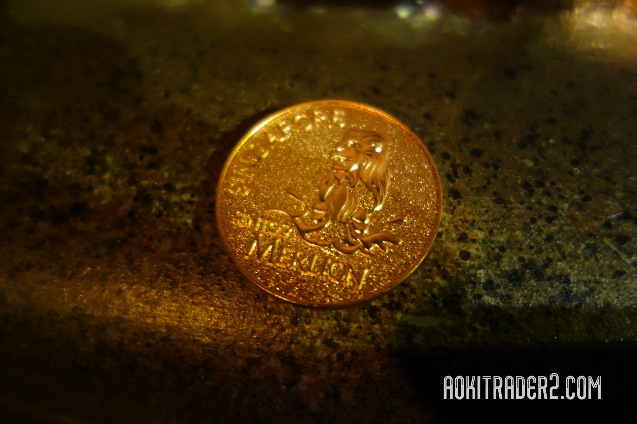 マーライオンタワー内部のコイン